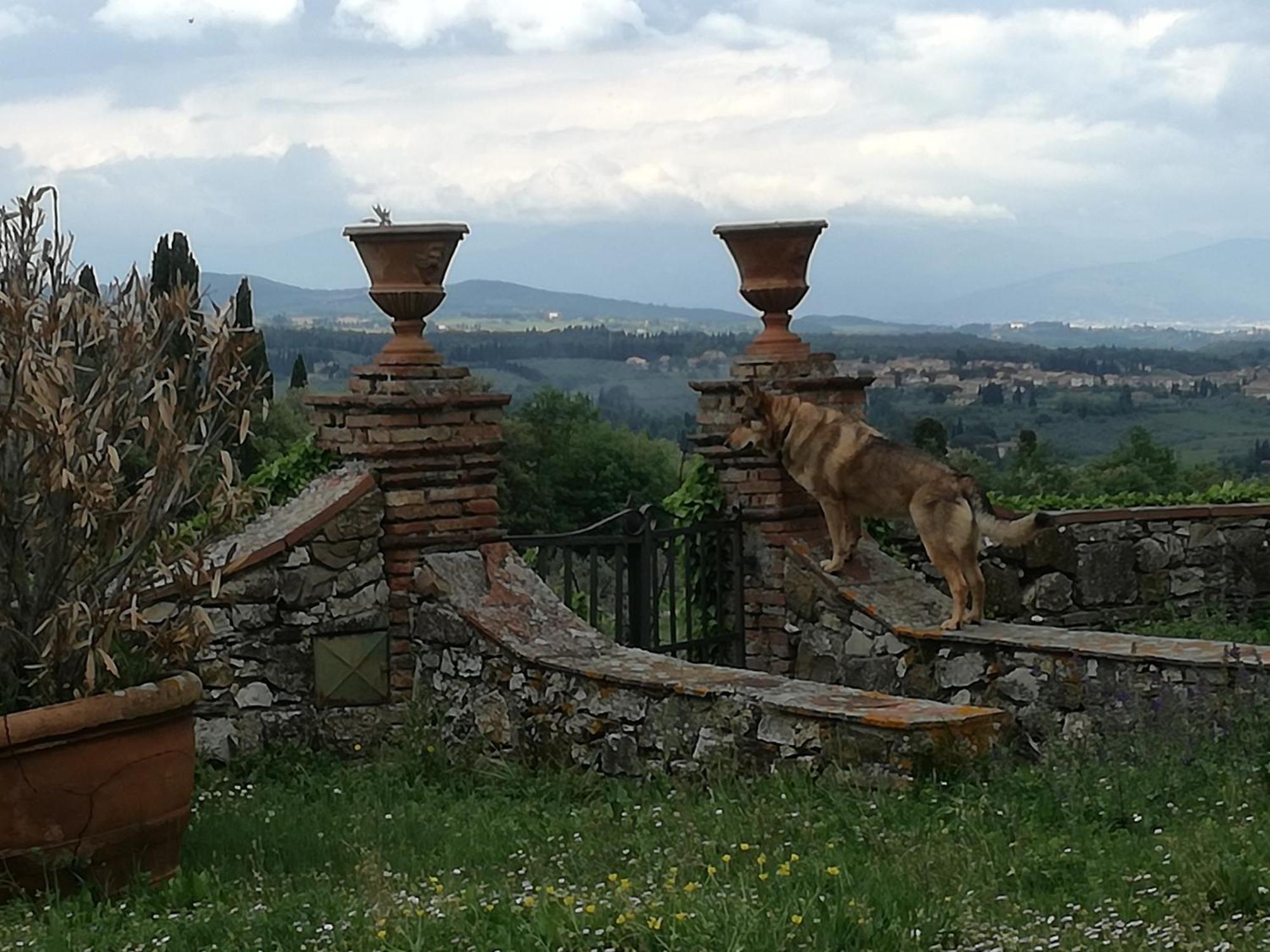 Agriturismo Podere La Cava Mercatale Val Di Pesa Exteriér fotografie