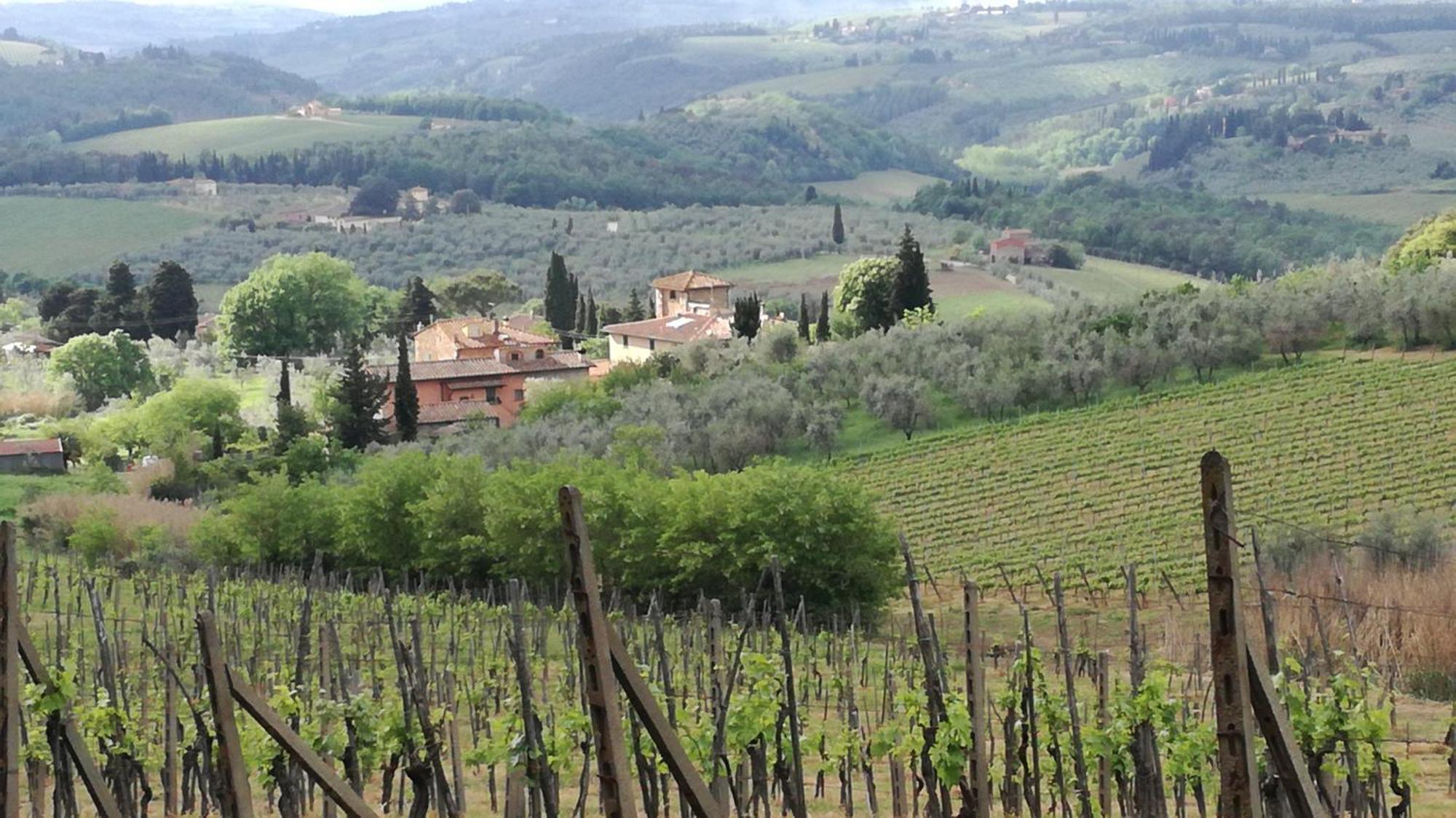 Agriturismo Podere La Cava Mercatale Val Di Pesa Exteriér fotografie